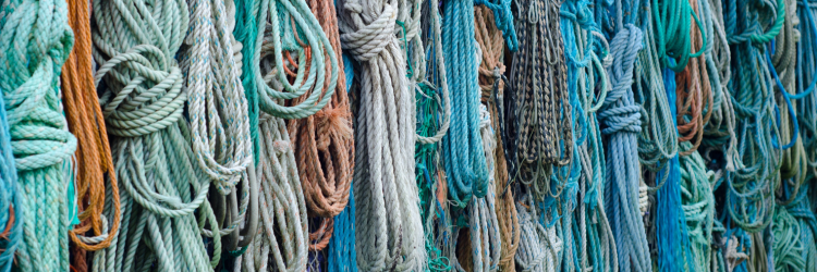 De Jutters experience Texel