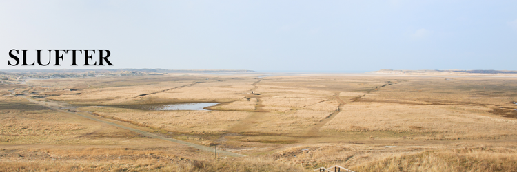 Natuurgebied de Slufter de Cocksdorp Texel