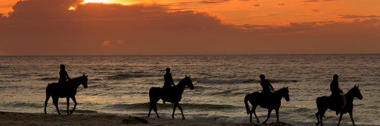 Paardrijden op het strand