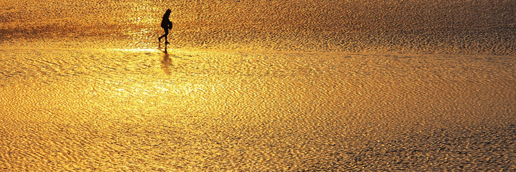 Wadlopen op de bodem van de Waddenzee