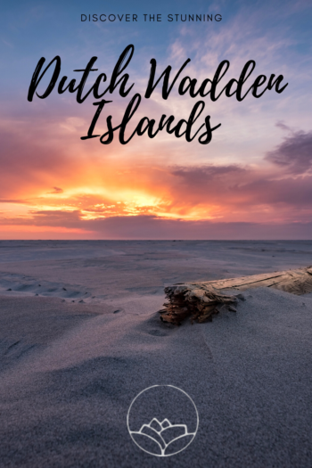 Discover the Dutch Wadden islands