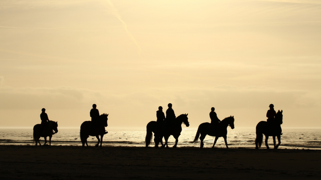 Paardrijden op de stranden van Terschelling