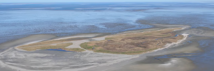 De Griend, zandplaat in de Waddenzee