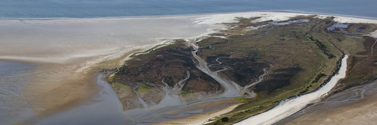 Rottumerplaat in de Nederlandse Waddenzee