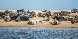 Wadden eilanden buiten beeld!