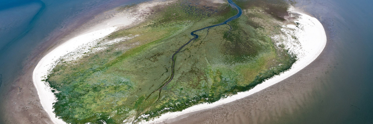 Zuiderduintjes in de Waddenzee